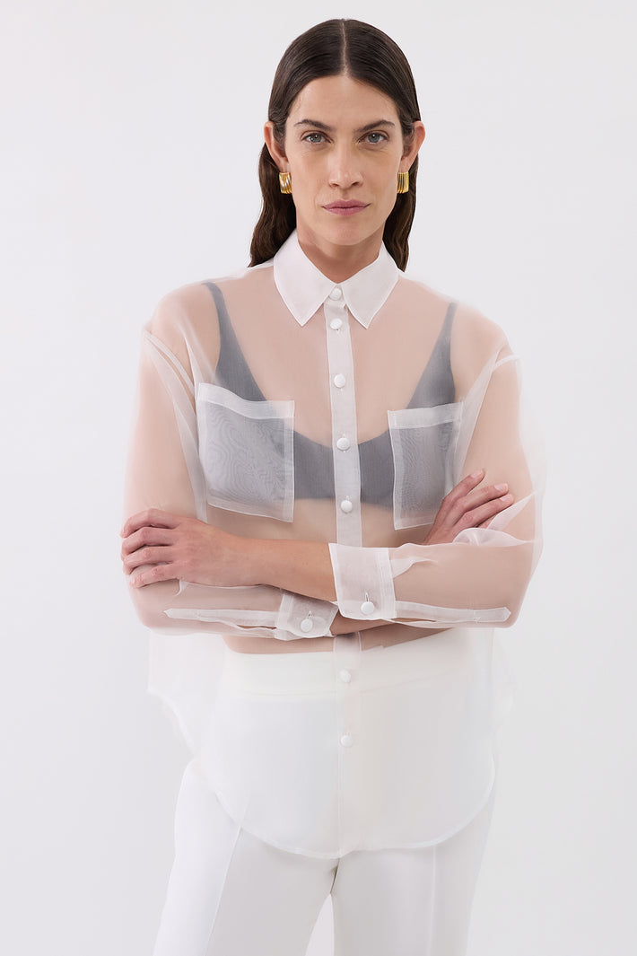 Organza Evening Blouse